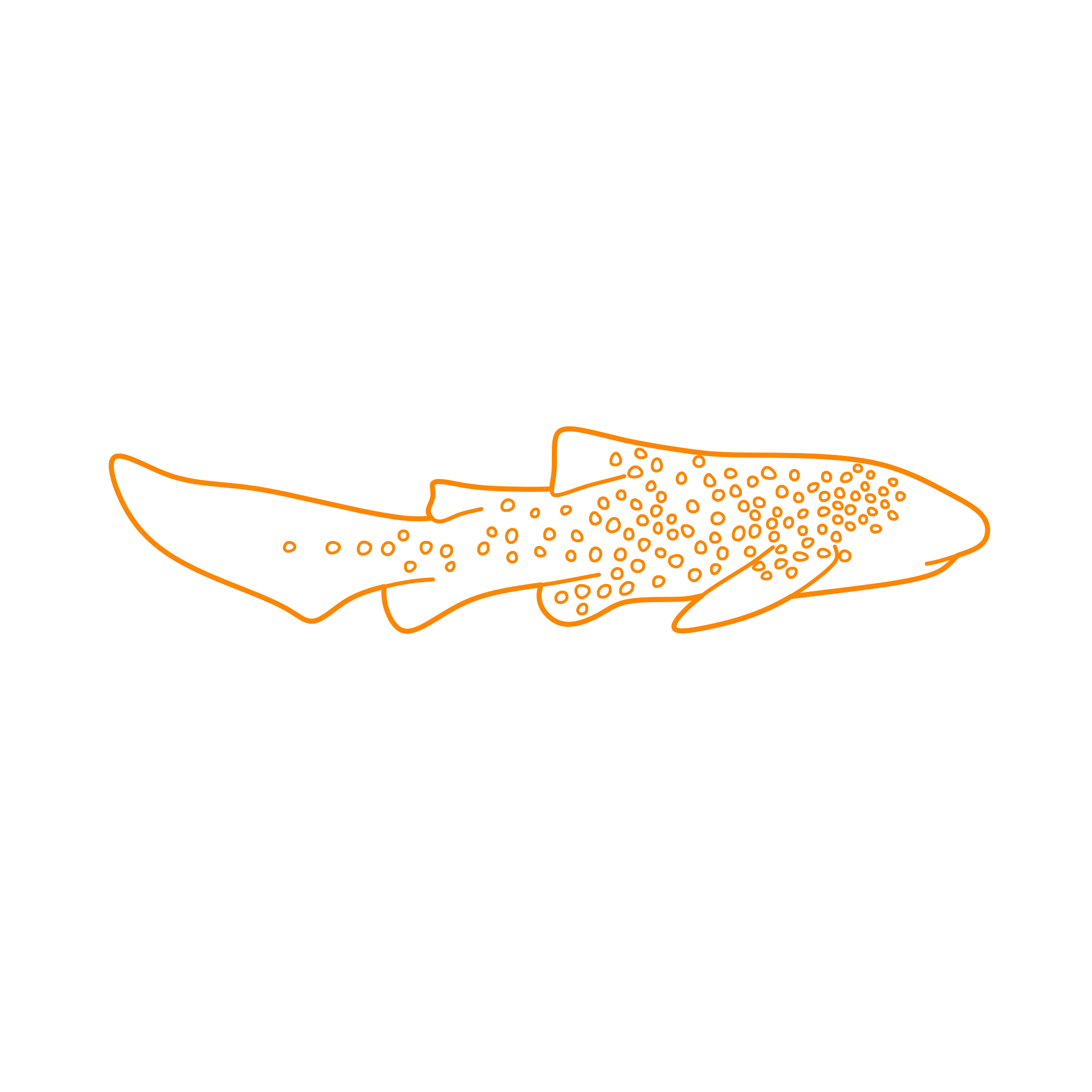 Animals Sharks Zebra Shark Sketch Drawing Svg Free Vectors